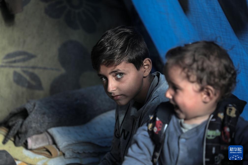 加沙地带：冬季海边帐篷里的苦难生活