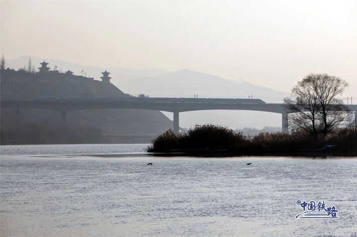 坐火车与天鹅同框 这两条线路不容错过 坐火车与天鹅同框 这两条线路不容错过