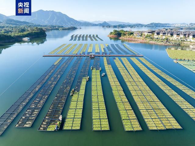 涉及买房、报销、电诈惩戒！12月新规这些细节与你有关