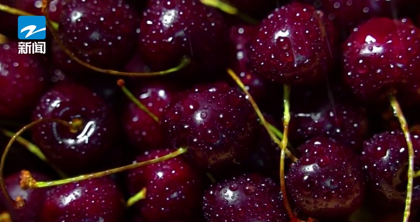 冬日水果“顶流”降价了！水果店老板：估计价格会比往年低