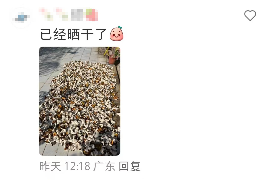 一袋只要1蚊！好吃吗？有人说别轻易尝试，懂行的广东人：这妥妥的“凡尔晒”啊