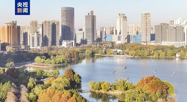 涉及买房、报销、电诈惩戒！12月新规这些细节与你有关