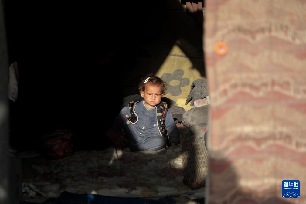 加沙地带：冬季海边帐篷里的苦难生活