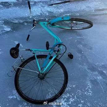 主人落水身亡狗狗在原地守到找回尸体 主人落水身亡狗狗在原地守到找回尸体