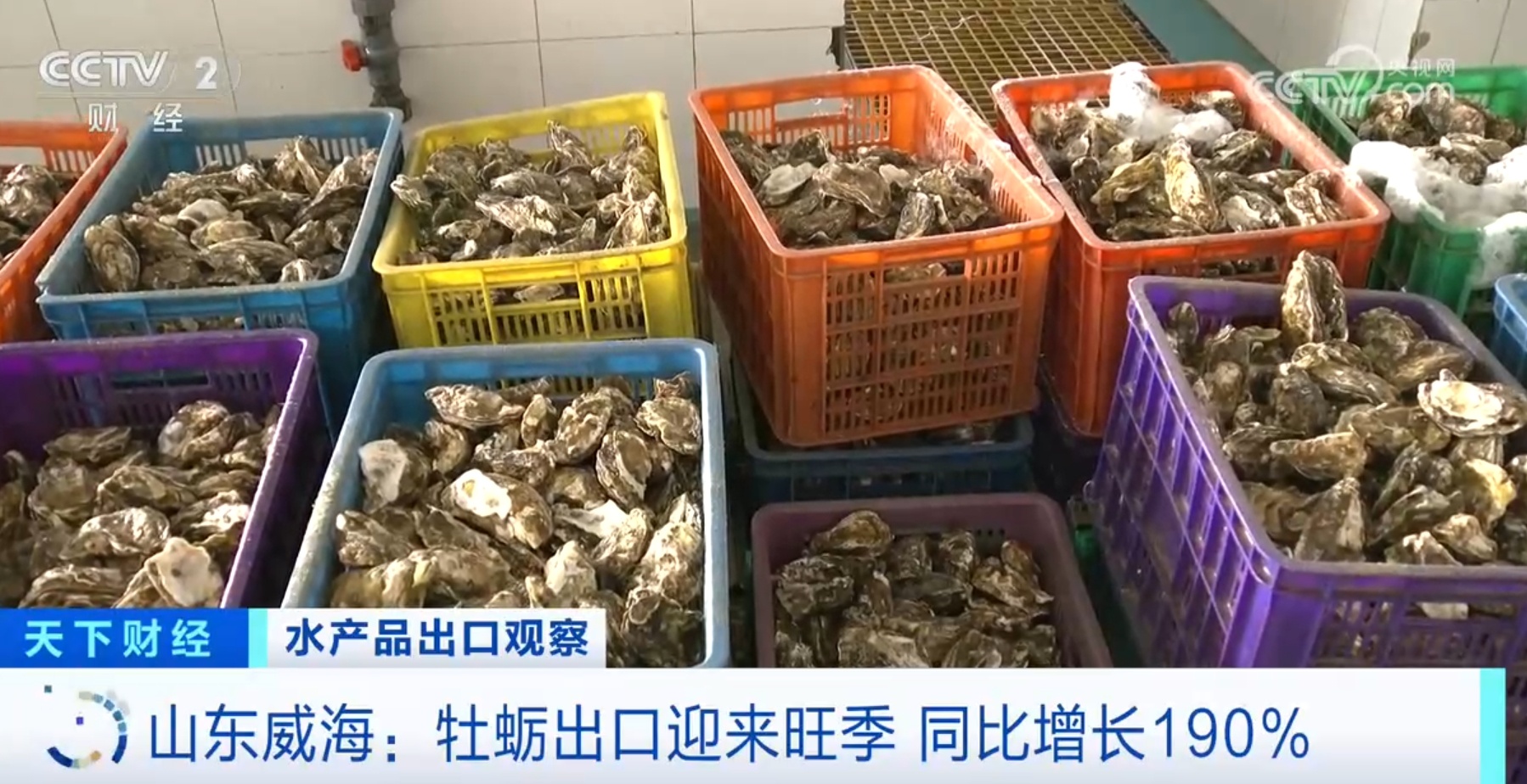 河鲀、牡蛎、虹鳟鱼产销“火热” 我国水产品出口数量同比实现两位数增长