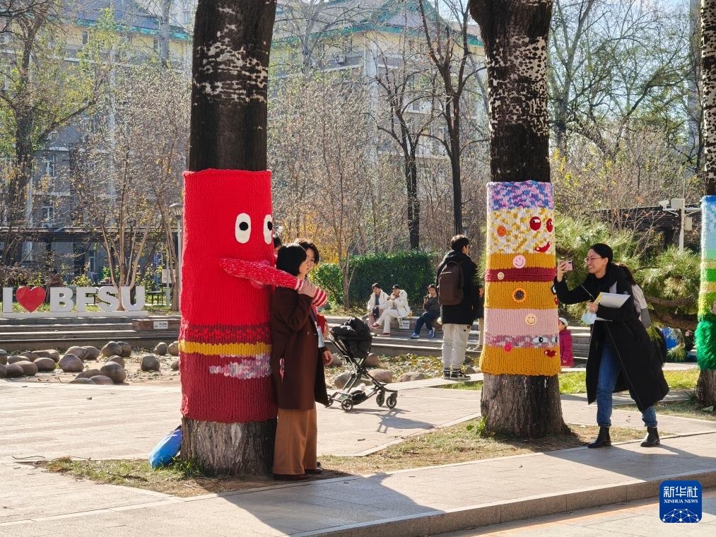 北京：校园树木穿“毛衣”