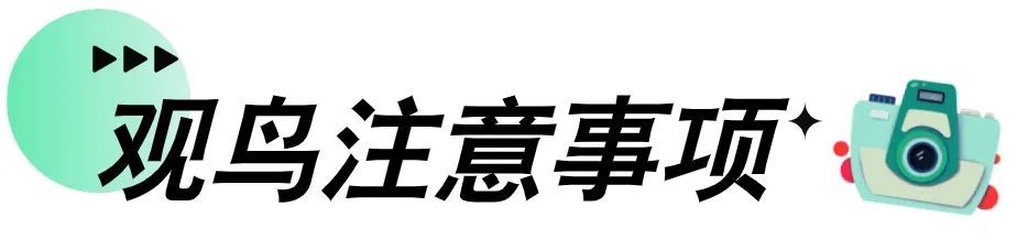 冬季来海南看“精灵”啦！这些地方可观测→