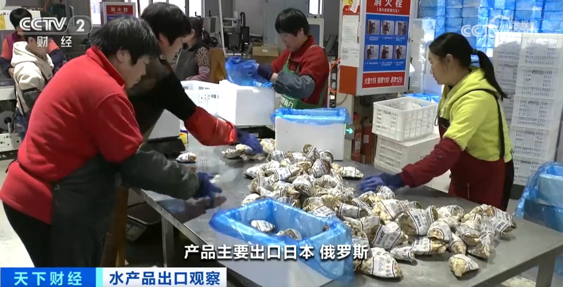 河鲀、牡蛎、虹鳟鱼产销“火热” 我国水产品出口数量同比实现两位数增长