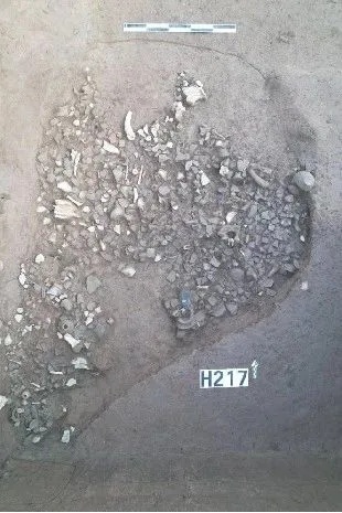 又一座秦国都城!陕西最新考古发现! 又一座秦国都城!陕西最新考古发现!