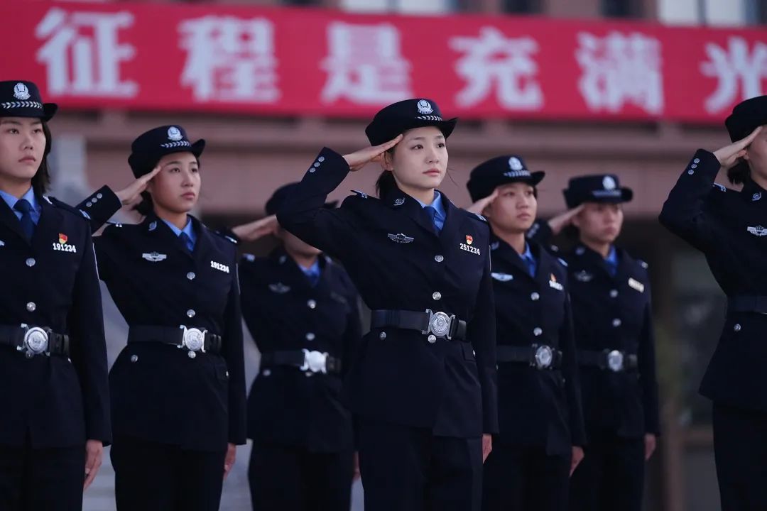 “兔子警官”，加油！