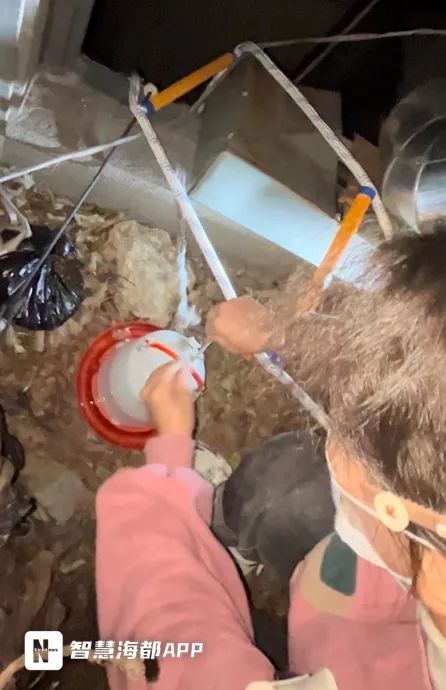 事发福州火车站北广场!被困2年,“猫坚强”获救! 事发福州火车站北广场!被困2年,“猫坚强”获救!