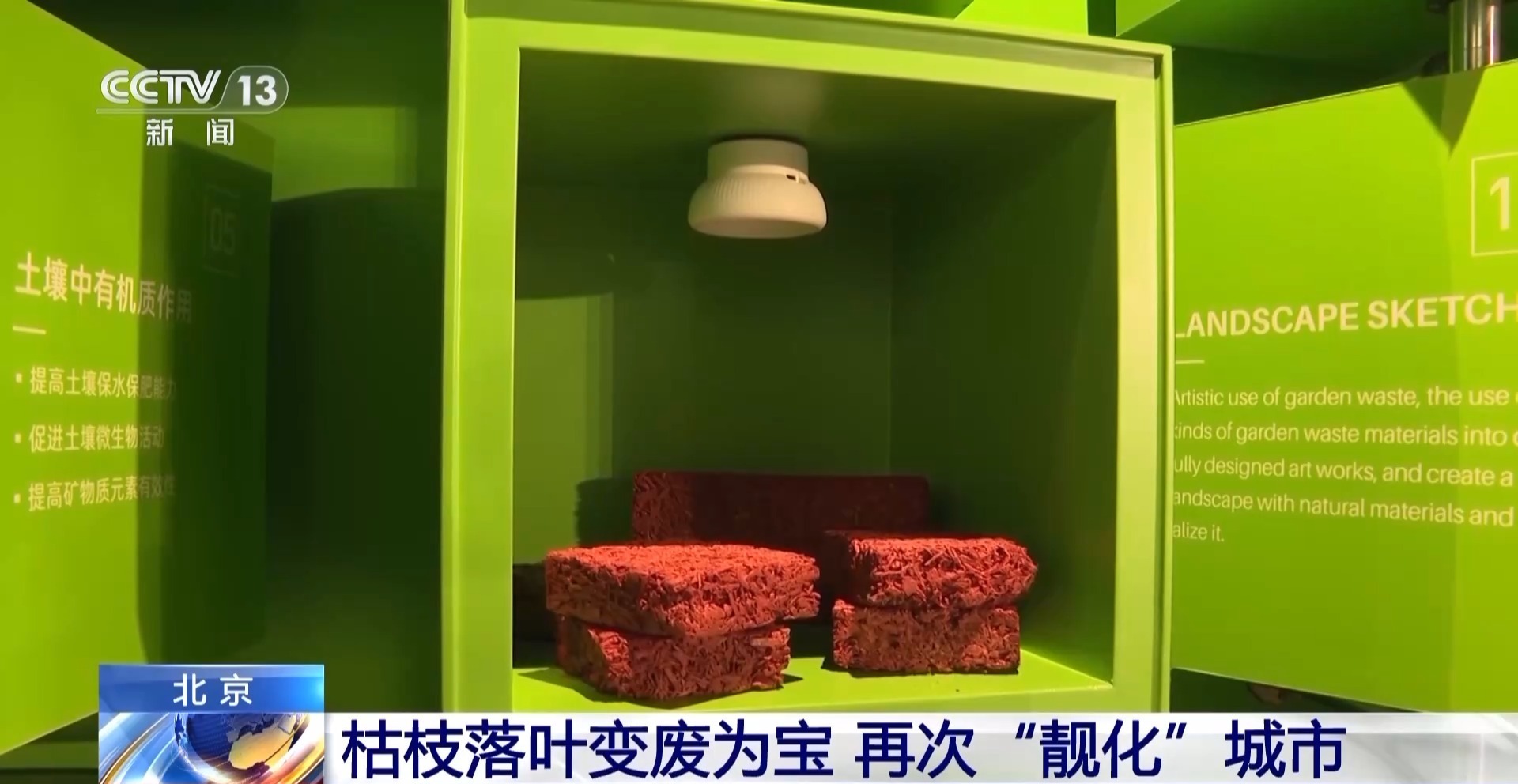 飘落的树叶都去哪儿了？其实它们有大用处