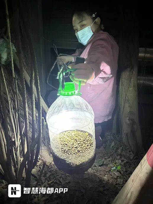 事发福州火车站北广场!被困2年,“猫坚强”获救! 事发福州火车站北广场!被困2年,“猫坚强”获救!