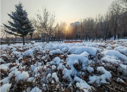 @哈尔滨人 周末气温波动大，注意别着凉感冒！