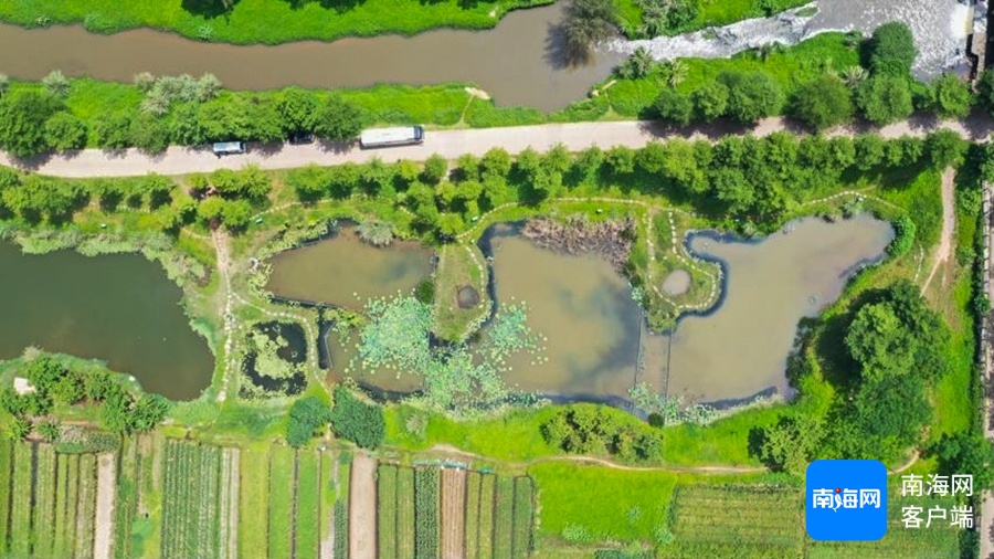 冬季来海南看“精灵”啦！这些地方可观测→