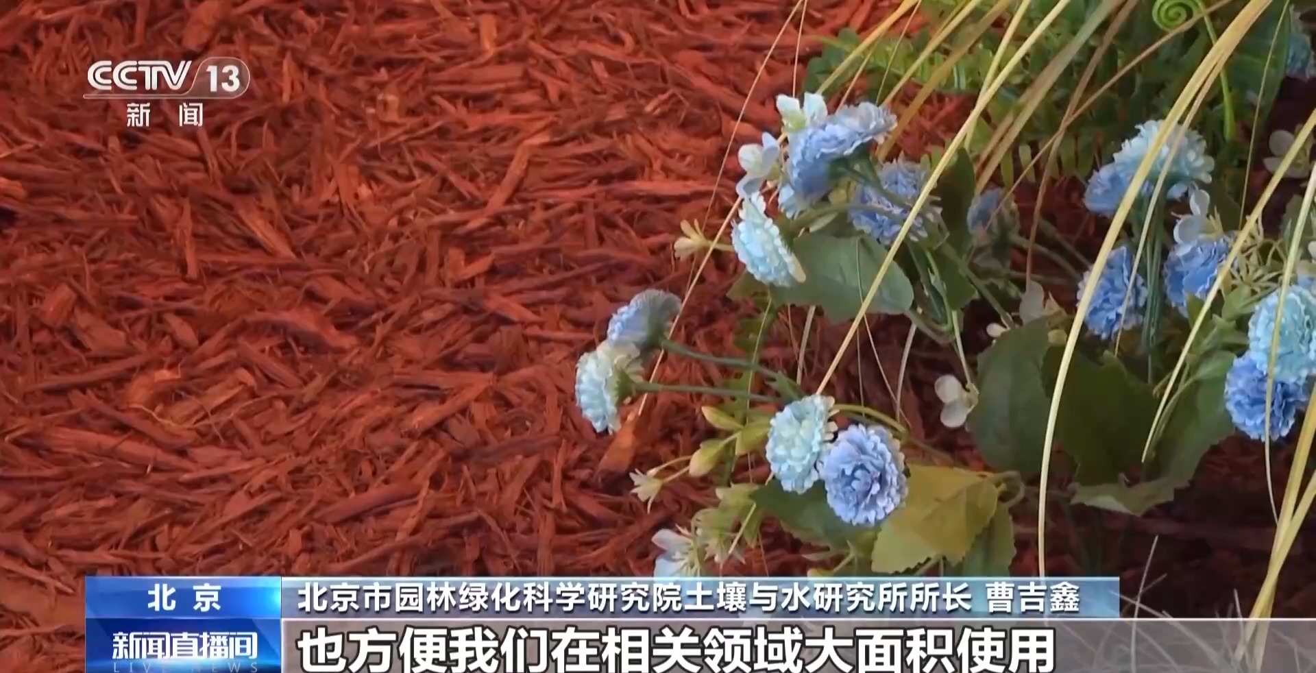 飘落的树叶都去哪儿了？其实它们有大用处