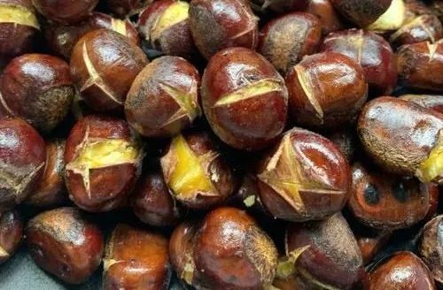 【健康资讯】关于板栗的消费提醒 【健康资讯】关于板栗的消费提醒