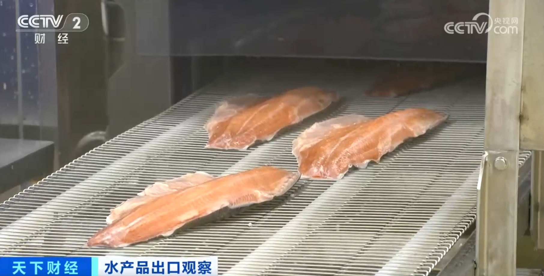 河鲀、牡蛎、虹鳟鱼产销“火热” 我国水产品出口数量同比实现两位数增长