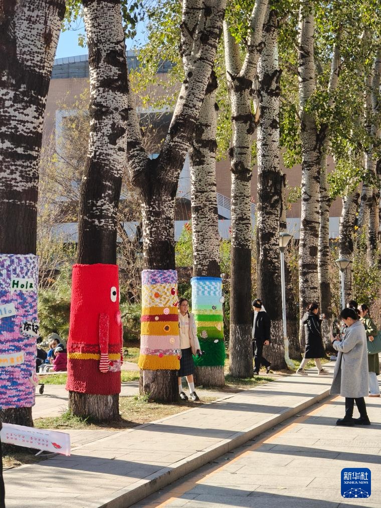 北京：校园树木穿“毛衣”