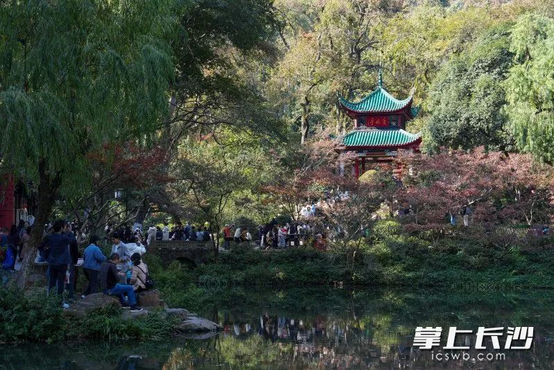 全网急了，到底红没红？