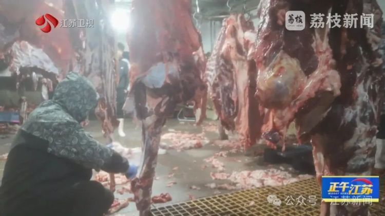牛肉放地上切割,血水洒落一地……屠宰场无证居然偷着干,现场不堪入目! 牛肉放地上切割,血水洒落一地……屠宰场无证居然偷着干,现场不堪入目!