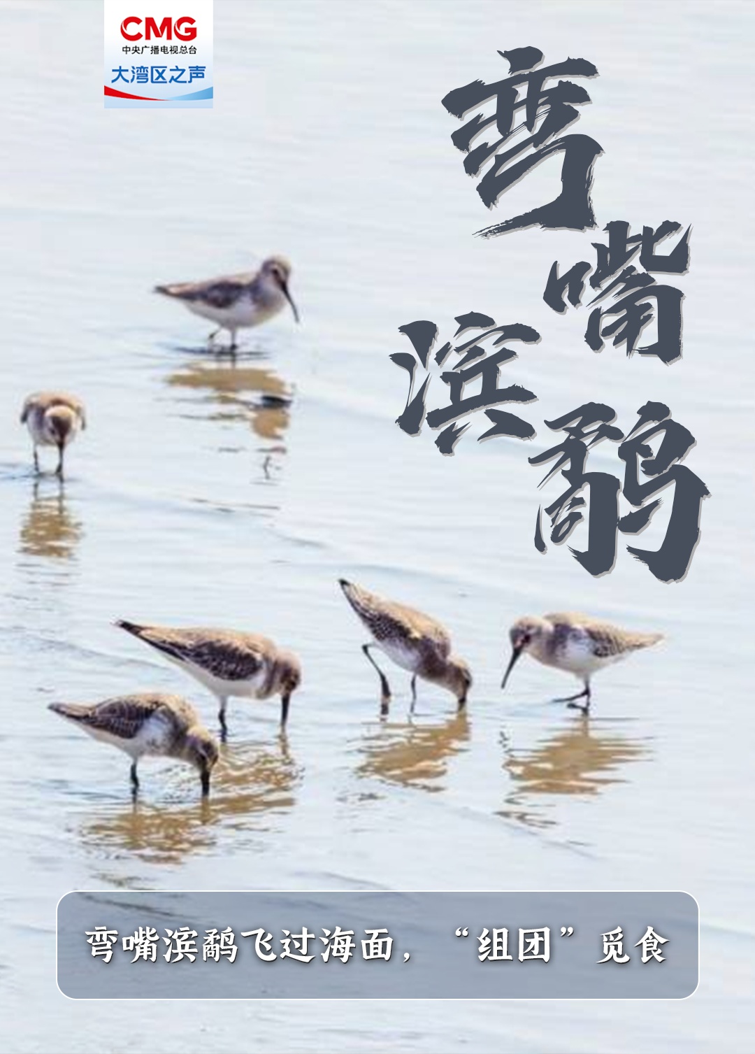 重量级“冬日嘉宾”已抵达东莞