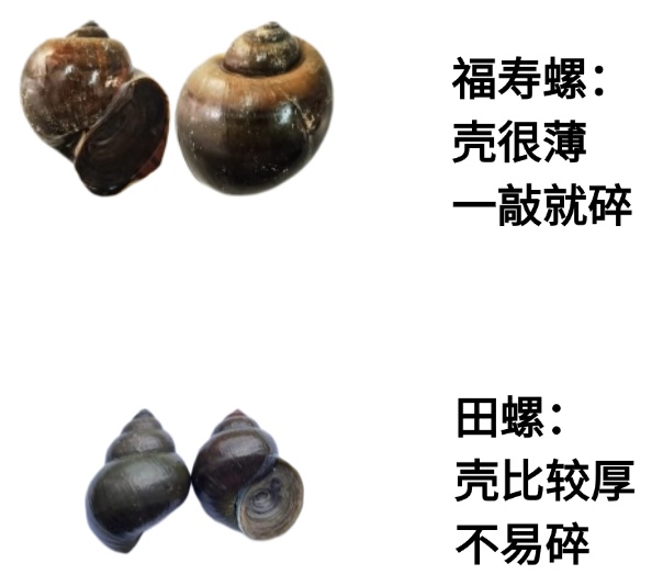 一口6000条寄生虫！别碰！别吃！