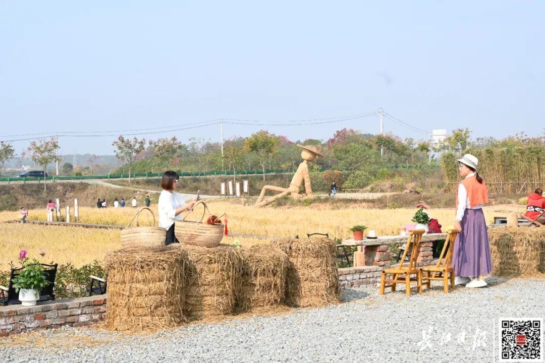 开在稻田里的这家店，火了