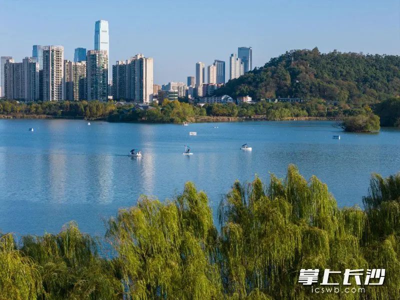 全网急了，到底红没红？