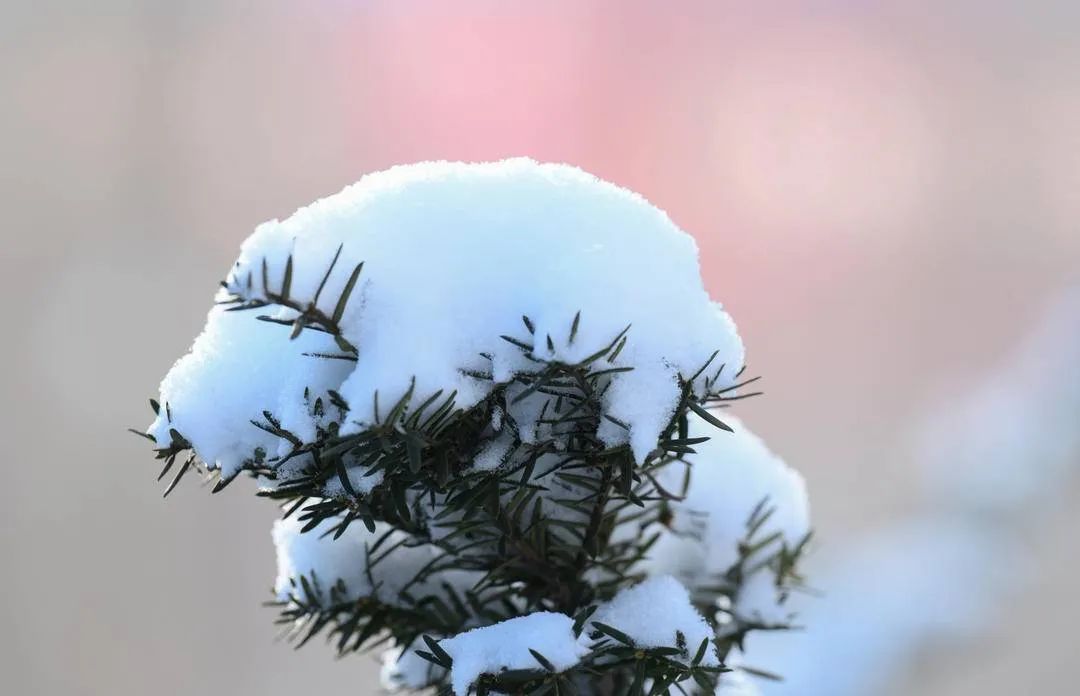 辽宁发布高速公路大雪Ⅳ级预警!降温12℃,冷空气今夜就到…… 辽宁发布高速公路大雪Ⅳ级预警!降温12℃,冷空气今夜就到……