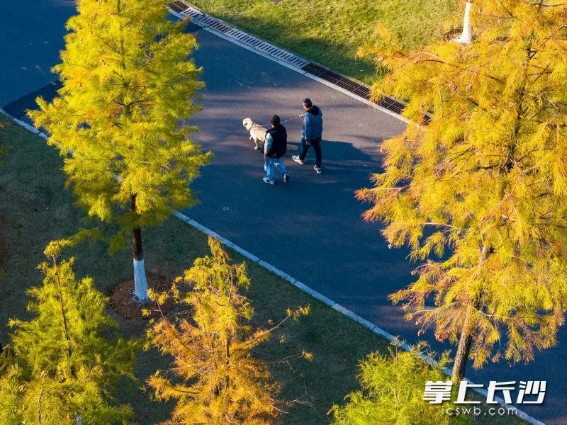 全网急了，到底红没红？