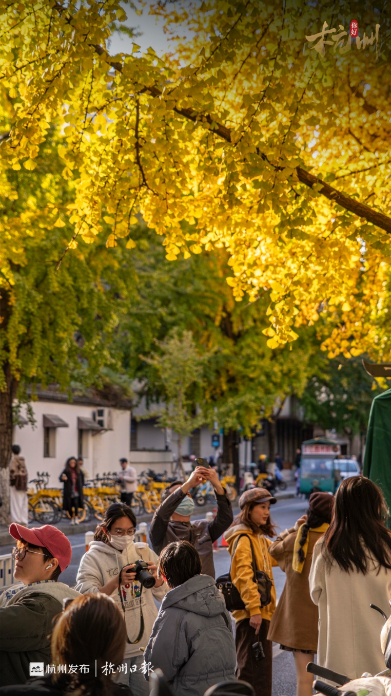 不能吃!不能吃!杭州街头大量出现,很多人在捡... 不能吃!不能吃!杭州街头大量出现,很多人在捡...