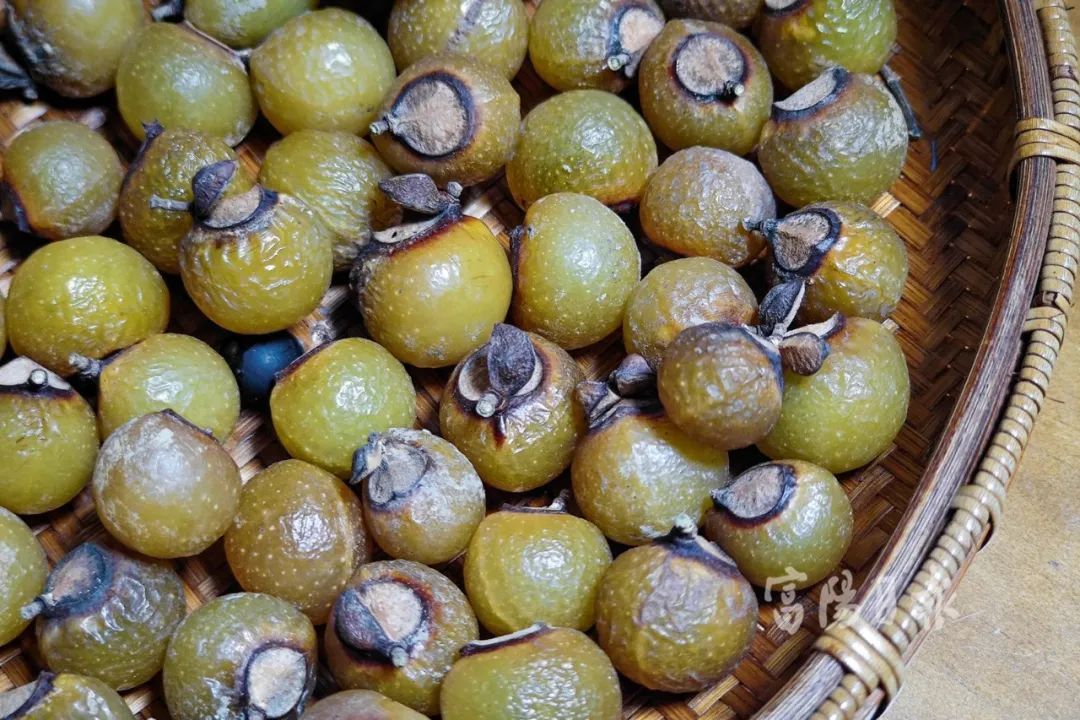 不能吃!不能吃!杭州街头大量出现,很多人在捡... 不能吃!不能吃!杭州街头大量出现,很多人在捡...