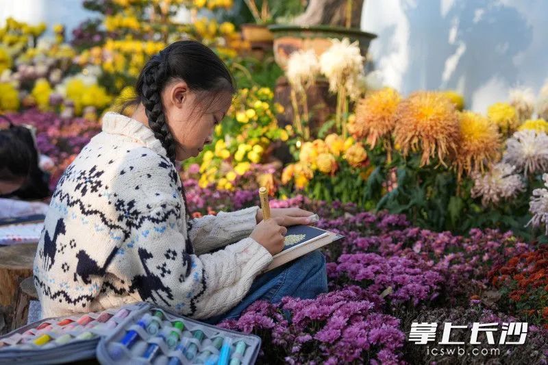 全网急了，到底红没红？