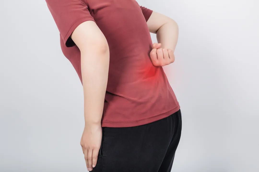 比跑步轻松,比走路高效,血糖、血脂都受益,还对膝盖友好 比跑步轻松,比走路高效,血糖、血脂都受益,还对膝盖友好