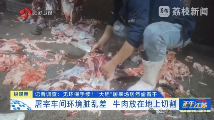 牛肉放地上切割,血水洒落一地……屠宰场无证居然偷着干,现场不堪入目! 牛肉放地上切割,血水洒落一地……屠宰场无证居然偷着干,现场不堪入目!