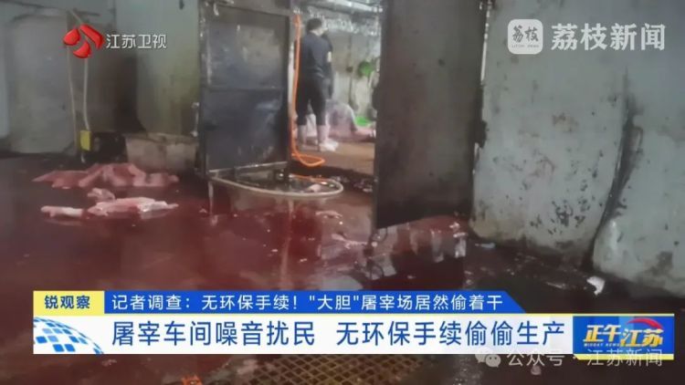 牛肉放地上切割,血水洒落一地……屠宰场无证居然偷着干,现场不堪入目! 牛肉放地上切割,血水洒落一地……屠宰场无证居然偷着干,现场不堪入目!