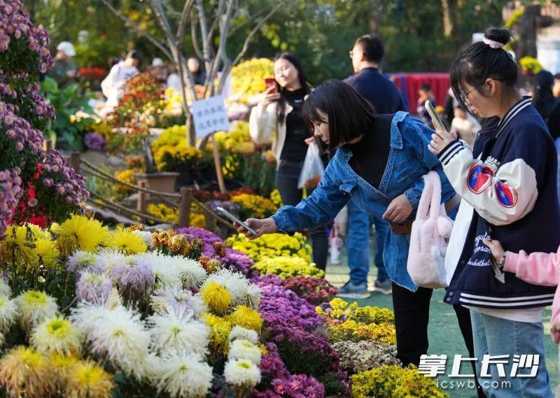 全网急了，到底红没红？