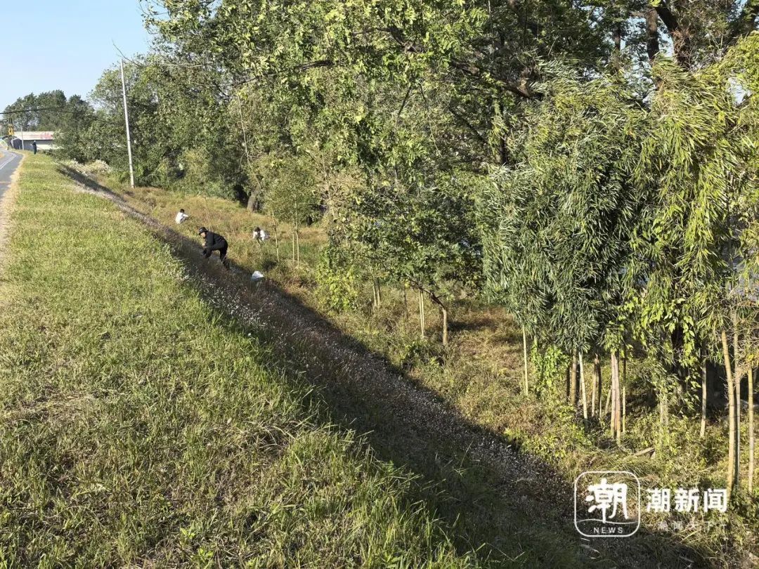 “挖不完!根本挖不完!”杭州很多人组团出动:闻着味就来了 “挖不完!根本挖不完!”杭州很多人组团出动:闻着味就来了