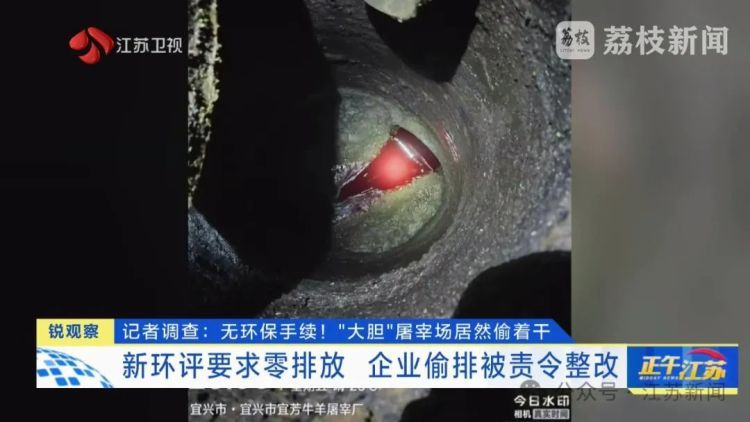 牛肉放地上切割,血水洒落一地……屠宰场无证居然偷着干,现场不堪入目! 牛肉放地上切割,血水洒落一地……屠宰场无证居然偷着干,现场不堪入目!