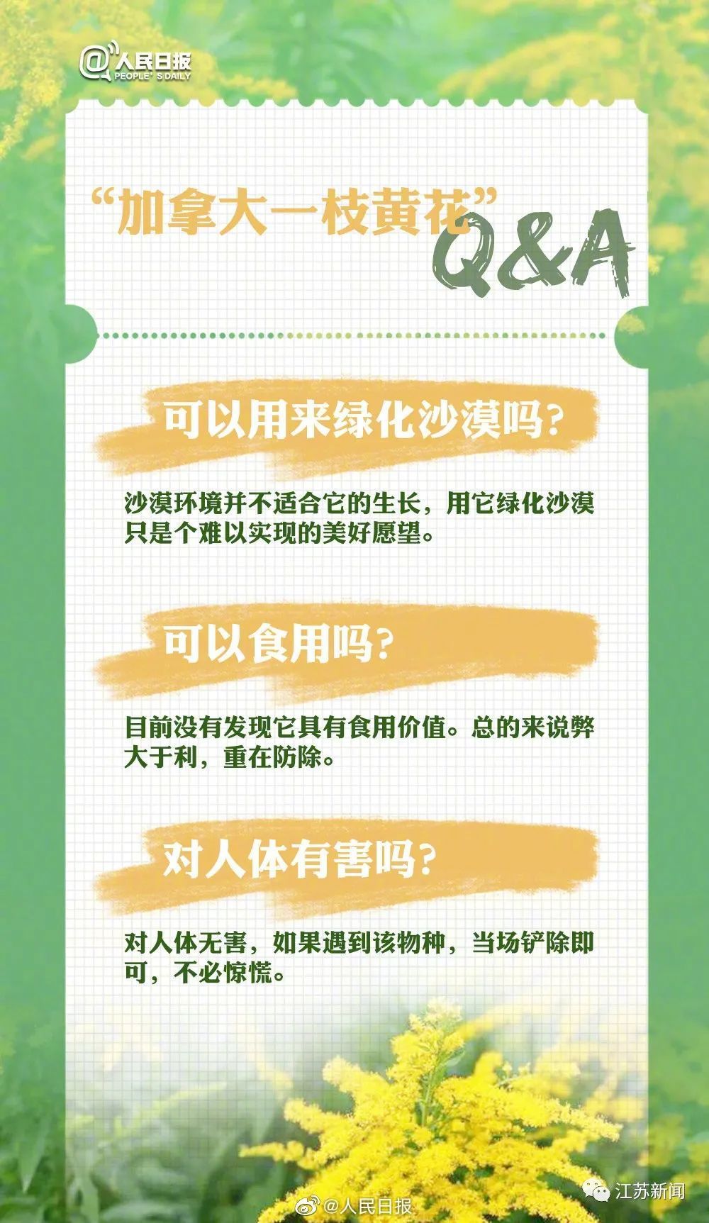 常州出现“恶魔之花”!发现请上报 常州出现“恶魔之花”!发现请上报