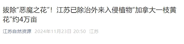 常州出现“恶魔之花”!发现请上报 常州出现“恶魔之花”!发现请上报