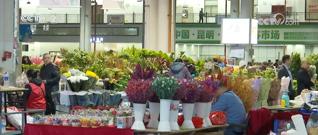 鲜花“颜值”变为经济“产值” “美丽经济”活力足