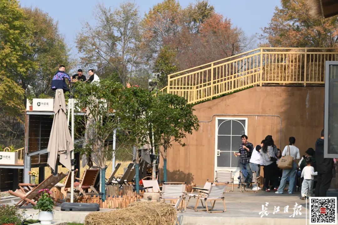 开在稻田里的这家店，火了