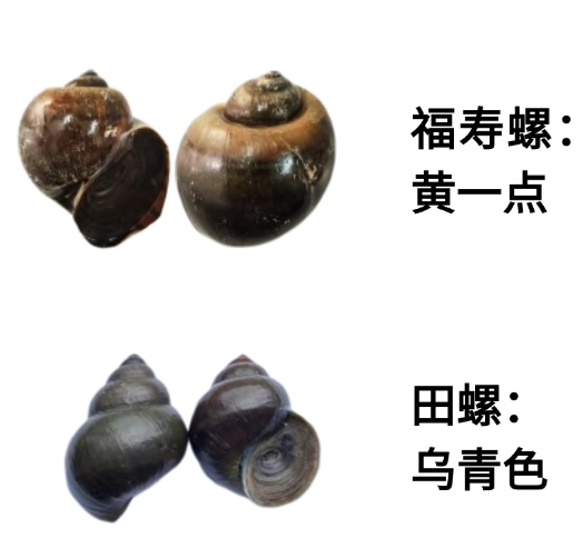 一口6000条寄生虫！别碰！别吃！