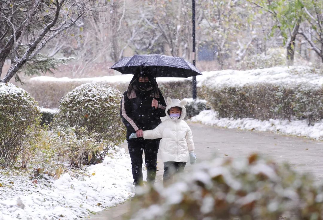 雨雪+寒潮+大风！关于新一轮雨雪开始时间，沈阳气象台今晨发布最新预报！