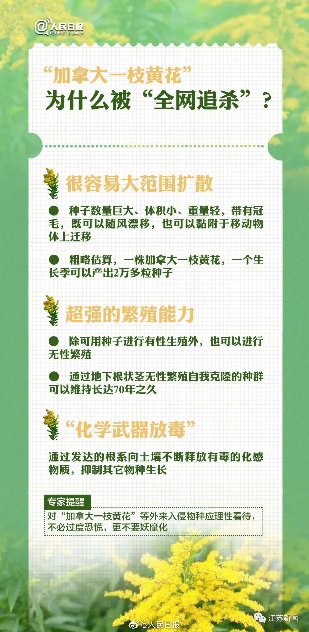 常州出现“恶魔之花”!发现请上报 常州出现“恶魔之花”!发现请上报