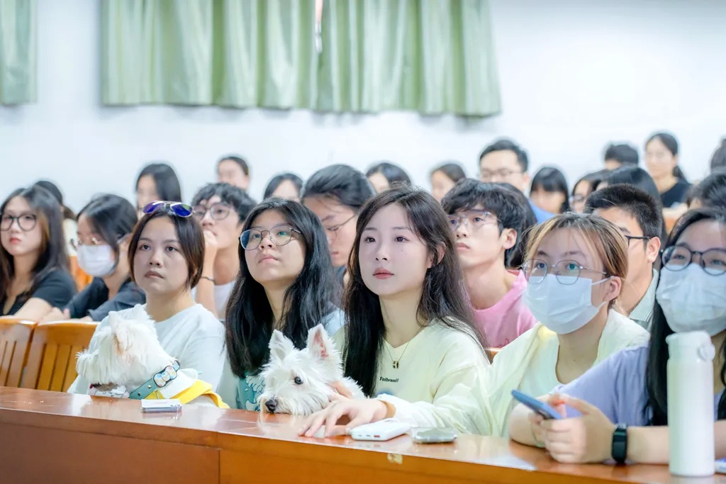 我的“助教”是小狗/小猫！真没骗你