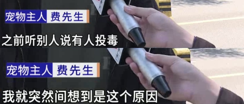 又有宠物狗散步后突然死亡?主人怀疑遭投毒 又有宠物狗散步后突然死亡?主人怀疑遭投毒