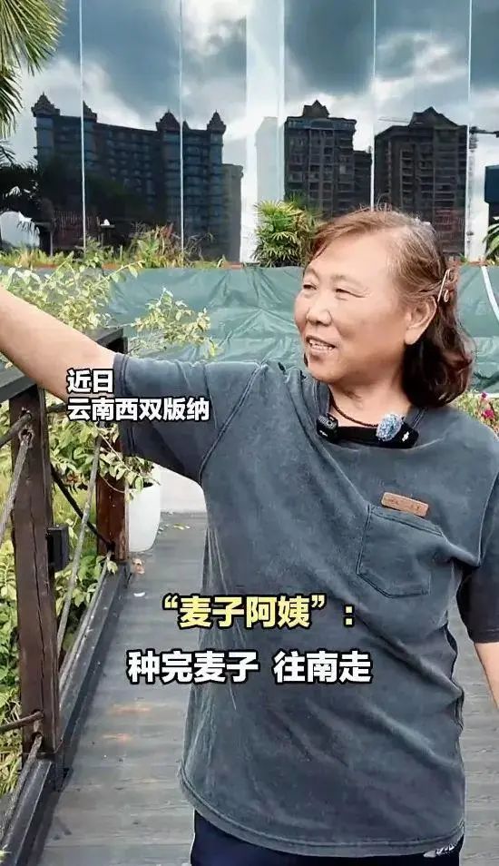 种完麦子，就往南走 “麦子阿姨”找到新工作啦！